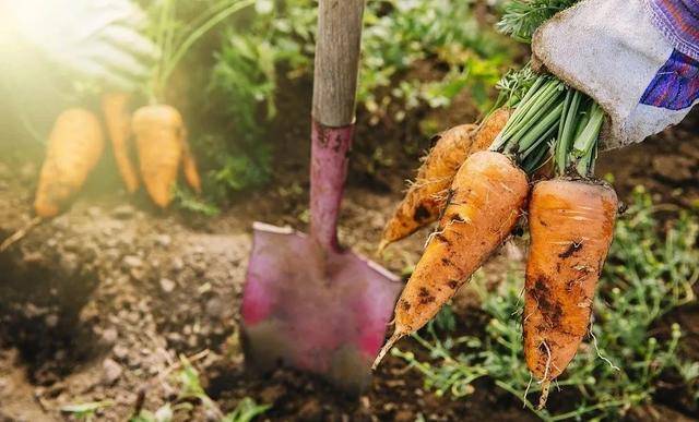 澳門(mén)一碼一肖一特