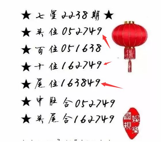 王中王一肖尾數(shù)資料，深度解析與探索，王中王一肖尾數(shù)資料深度解析與探索之旅