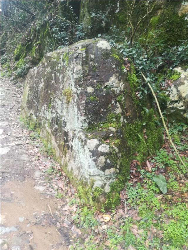 揭秘四不像劉伯溫一肖圖——探尋背后的神秘故事與SEO奧秘，揭秘四不像劉伯溫一肖圖背后的神秘故事與SEO奧秘探索