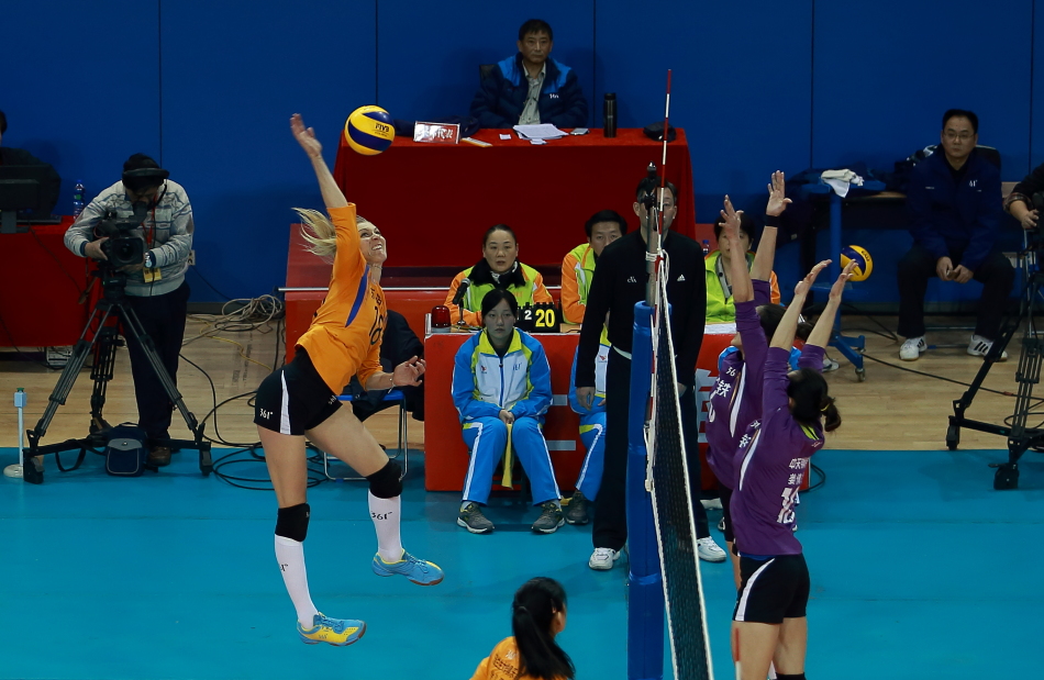 揭秘白小姐六肖選一肖王中王，神秘預(yù)測背后的秘密，揭秘白小姐六肖選一肖王中王，神秘預(yù)測真相揭秘