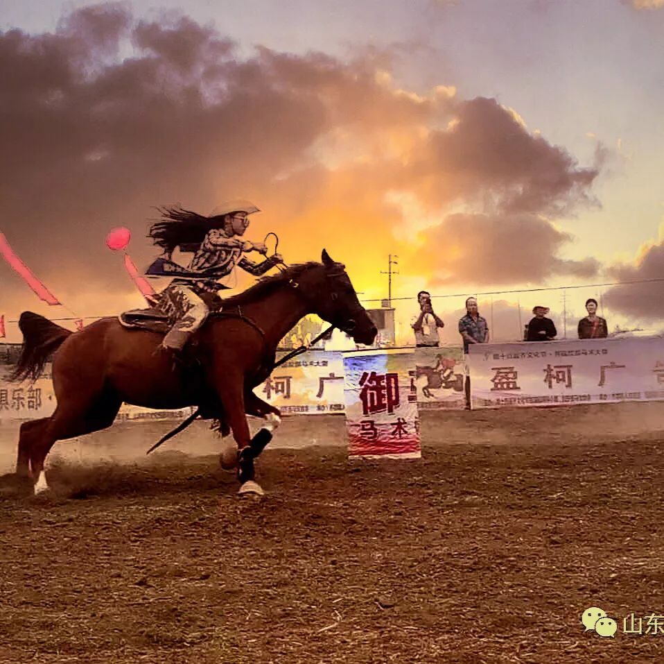 王中王一肖，特馬一馬之奧秘探索，王中王一肖，特馬奧秘探索之旅