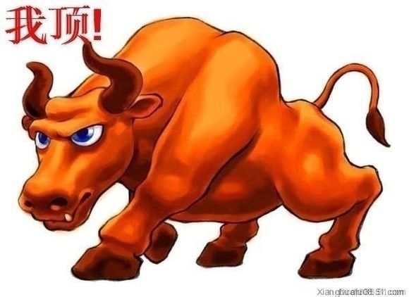 王中王指一生肖，探尋生肖文化中的特殊寓意與深層含義，探尋生肖文化中的特殊寓意與深層含義——王中王指一生肖