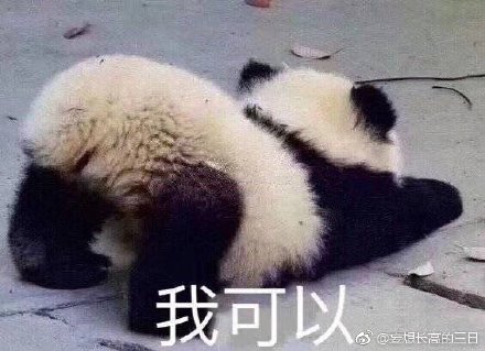 澳門四不像正版四不像網(wǎng)，探索真實與虛幻的交融之地，澳門四不像正版探索，真實與虛幻的交融世界