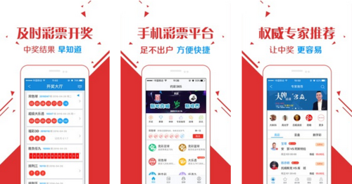 王中王玄機解一肖——探尋生肖奧秘與運勢之謎，王中王玄機解一肖，探尋生肖奧秘與運勢之謎揭秘