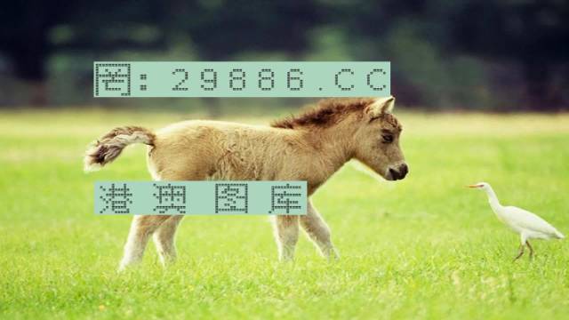 王中王4887中特一肖，揭秘背后的秘密與探索SEO優(yōu)化策略，揭秘王中王4887中特一肖背后的秘密與SEO優(yōu)化策略探索