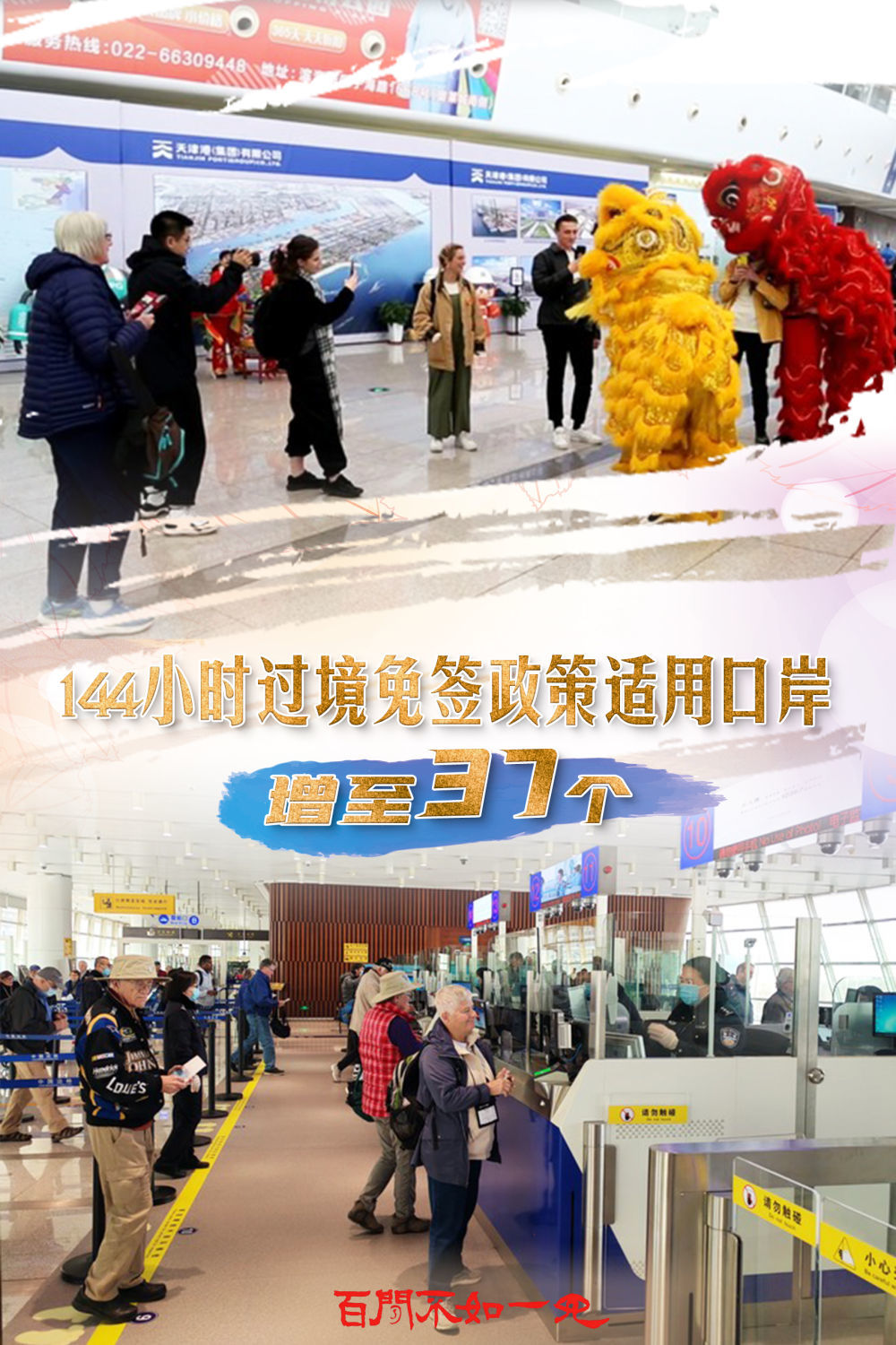 揭秘王中王，一碼一肖一特一中背后的故事，揭秘王中王背后的故事，一碼一肖一特一中傳奇揭秘