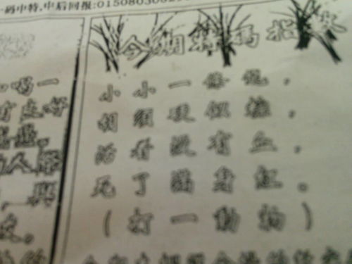 揭秘劉伯溫四肖選一肖的神秘預(yù)測藝術(shù)，劉伯溫四肖選一肖的神秘預(yù)測藝術(shù)揭秘