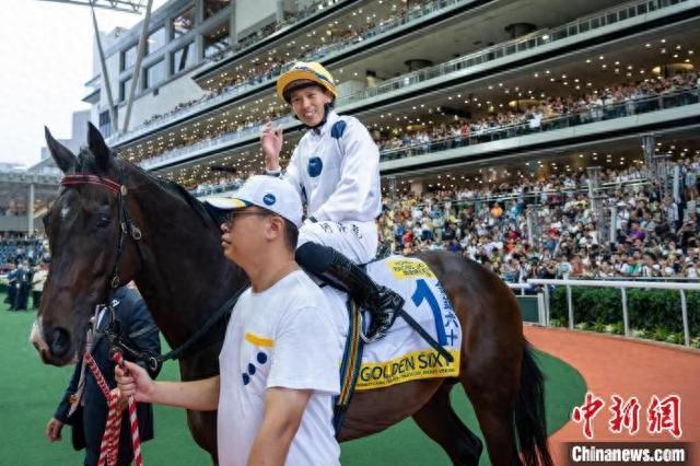 香港特馬王資料免費(fèi)公開，揭秘背后的秘密，香港特馬王資料揭秘，免費(fèi)公開背后的秘密