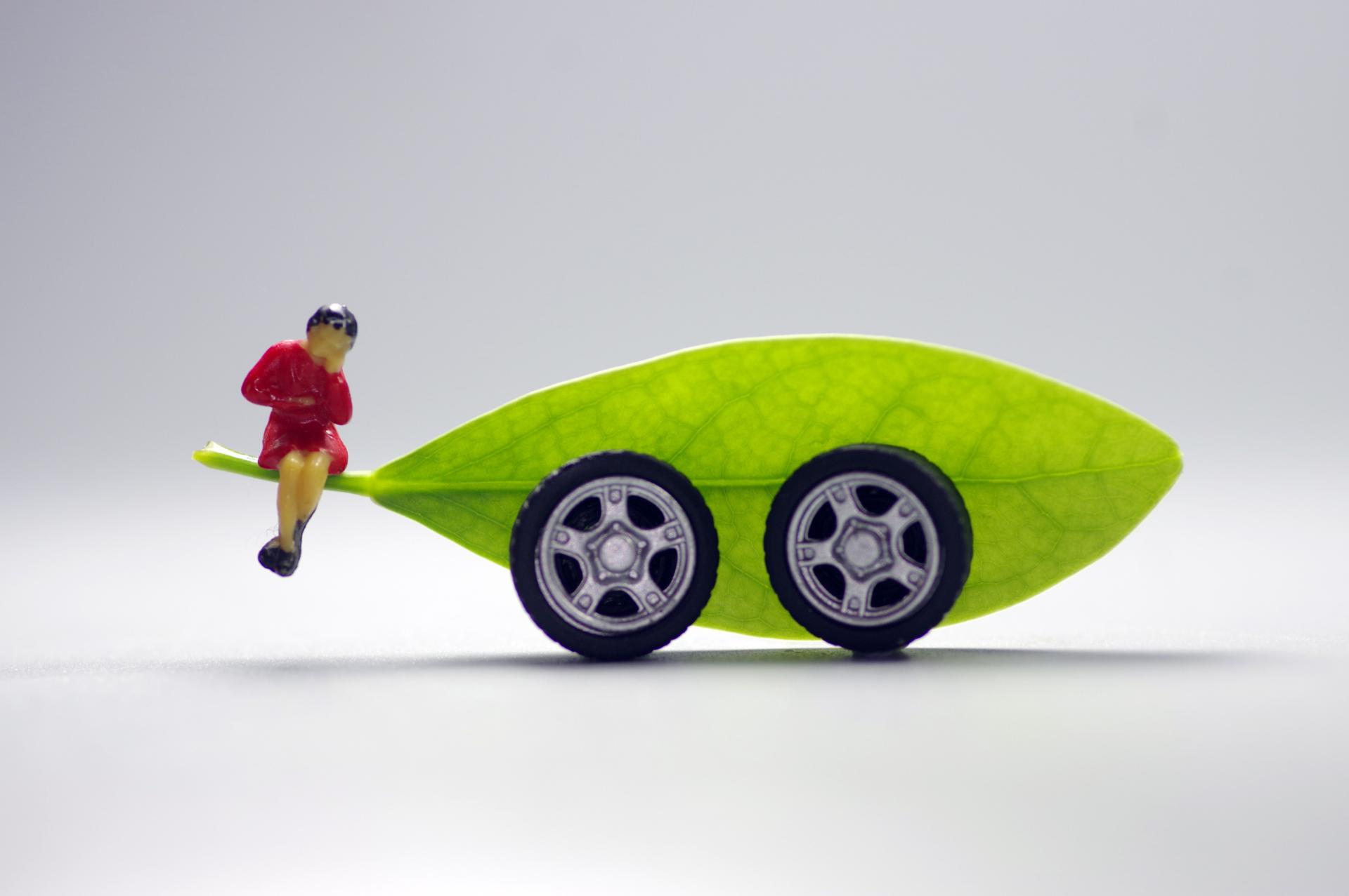 揭秘2025全年資料免費大全，一站式獲取所有你需要的信息資源，揭秘一站式獲取信息資源的免費寶庫，2025全年資料免費大全