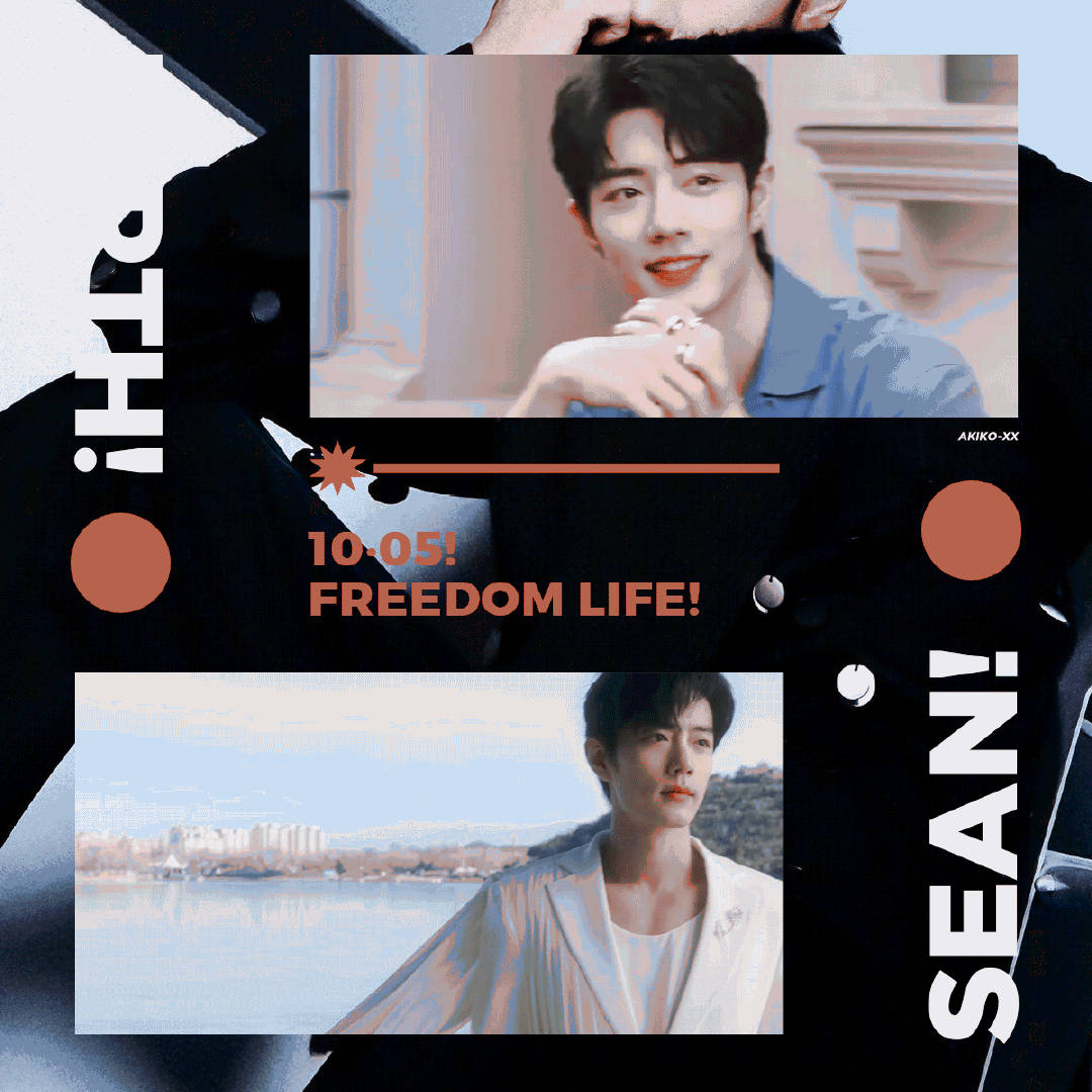 一肖一碼一一肖一子，揭秘生肖與數(shù)字之間的神秘聯(lián)系，揭秘生肖與數(shù)字之間的神秘關聯(lián)，一肖一碼一與子相連的秘密