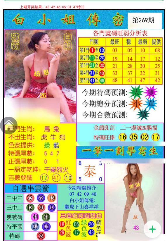 揭秘白小姐與王中王平持一肖的神秘面紗，白小姐與王中王，揭秘神秘生肖預(yù)測(cè)面紗