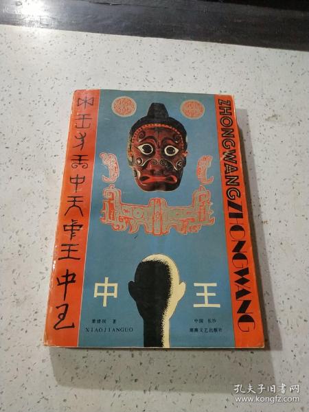 王中王資料與肖中特，深度解析，王中王資料與肖中特深度剖析