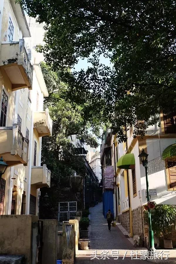 澳門今期正版四不像圖片搜尋指南，澳門今期正版四不像圖片搜尋攻略