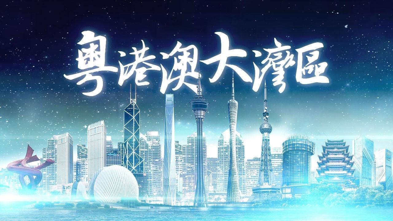 2025年香港正版免費資料全面解析，香港正版免費資料全面解析（2025版）