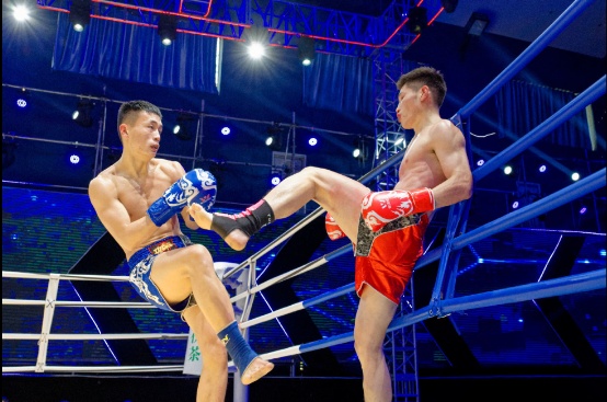 回顧歷史，揭秘2004年澳門王中王特馬一肖的獨(dú)特魅力，揭秘澳門王中王特馬一肖的獨(dú)特魅力，回顧歷史中的輝煌篇章