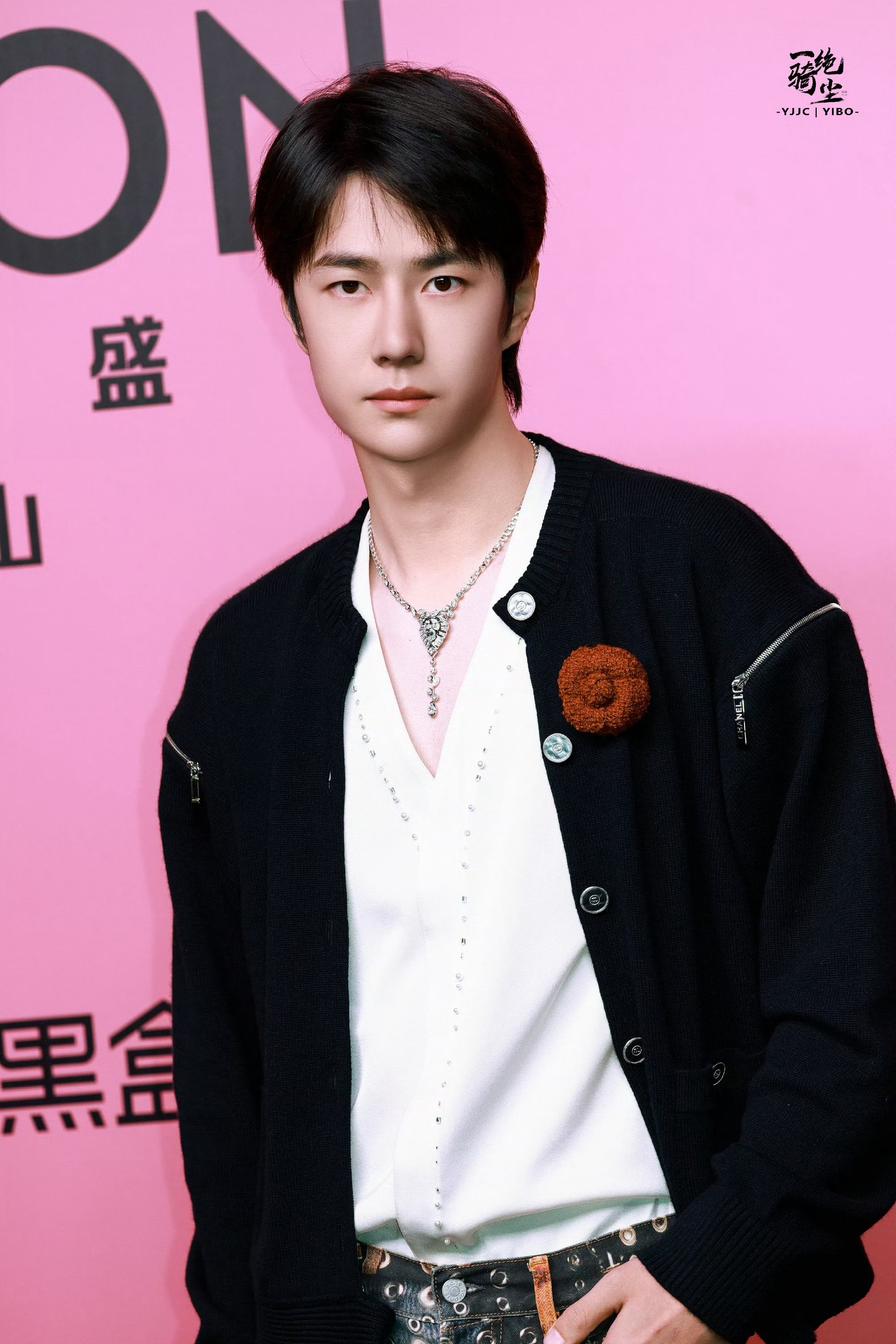 資料王中王一肖中，深度解析與探索，深度解析與探索，王中王一肖的獨(dú)特魅力