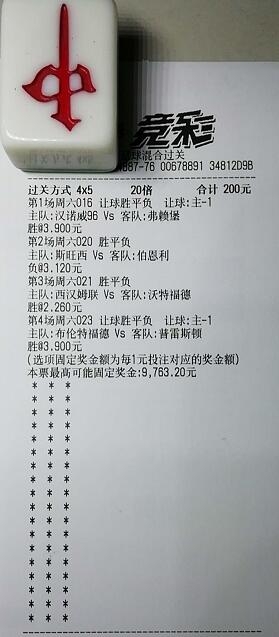 揭秘買一肖中獎的賠率與風險，你真的準備好了嗎？，揭秘買一肖中獎背后的賠率與風險，你真的做好準備了嗎？