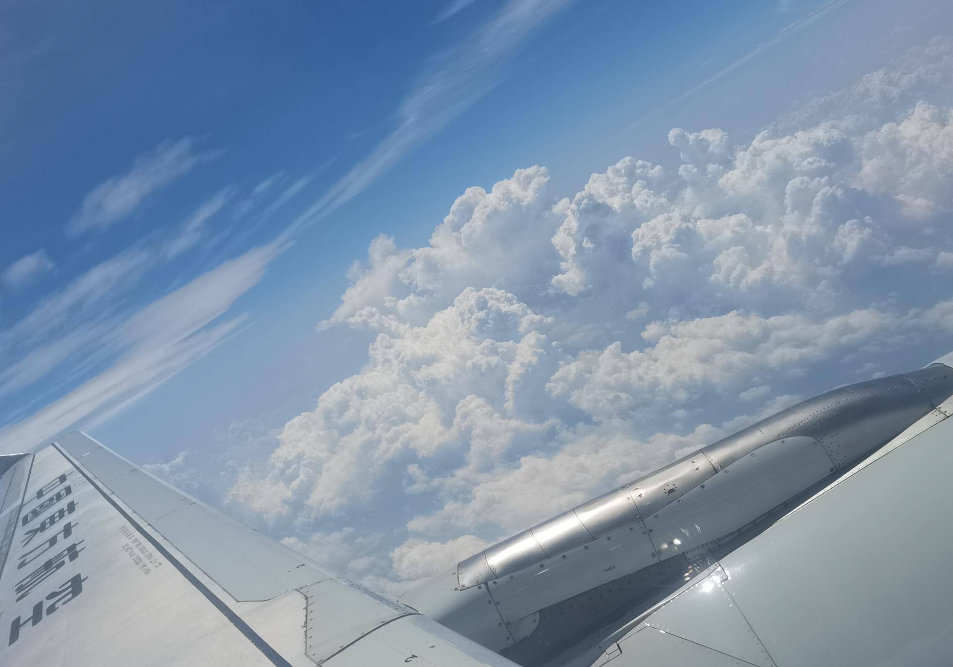 必中一肖劉伯溫是不像