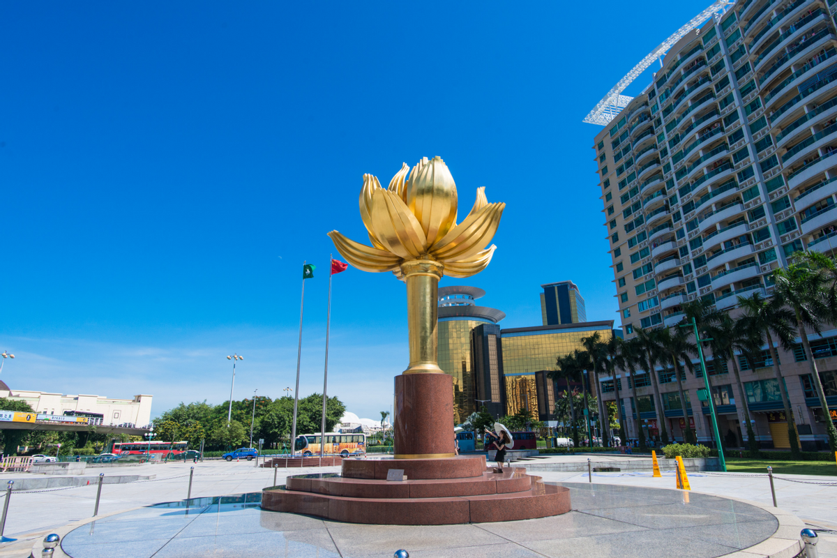 澳門一碼一肖一待一中四不像，揭秘背后的秘密與真相，澳門一碼一肖背后的秘密與真相揭秘