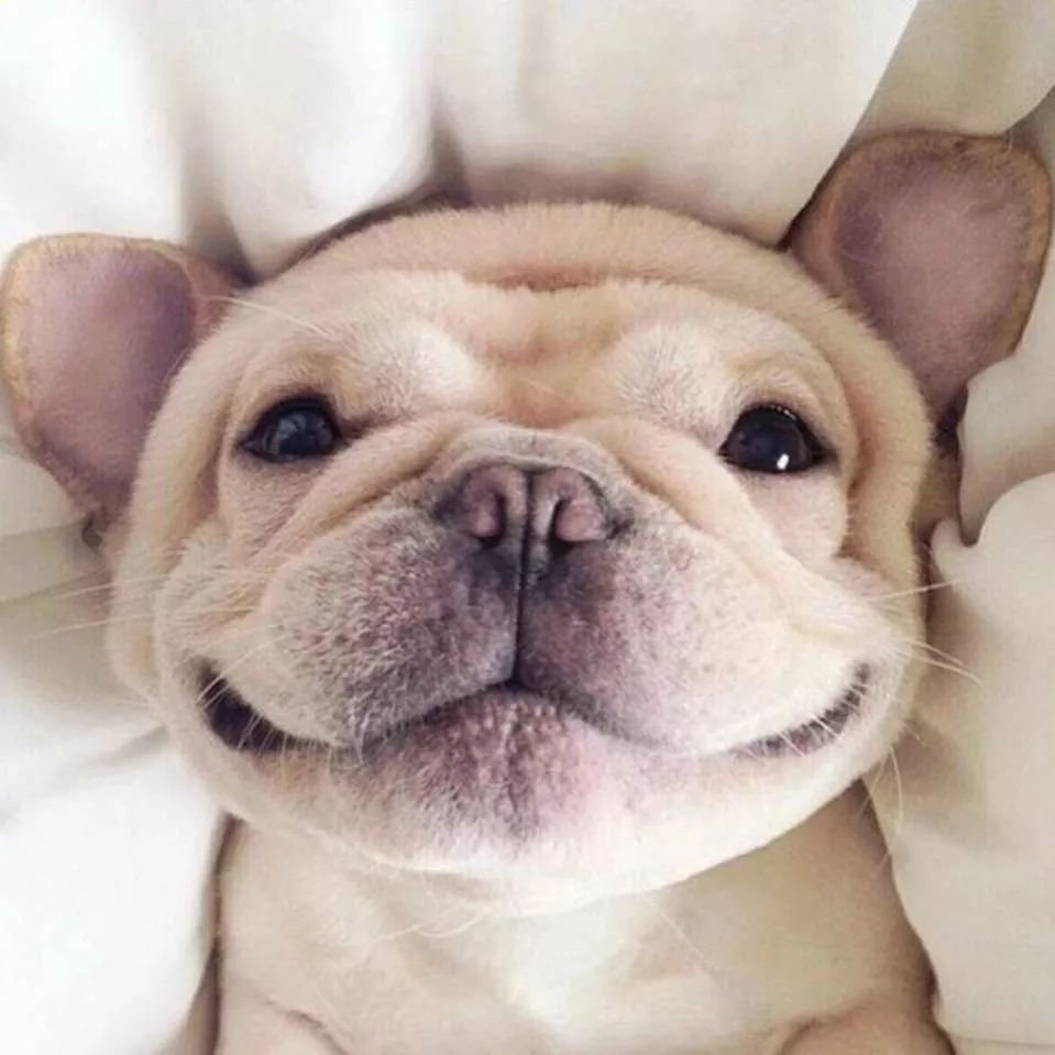 澳門一碼一肖一待一中四不像，探索神秘文化現(xiàn)象背后的真相，澳門神秘文化現(xiàn)象探索，一碼一肖一待一中四不像的真相