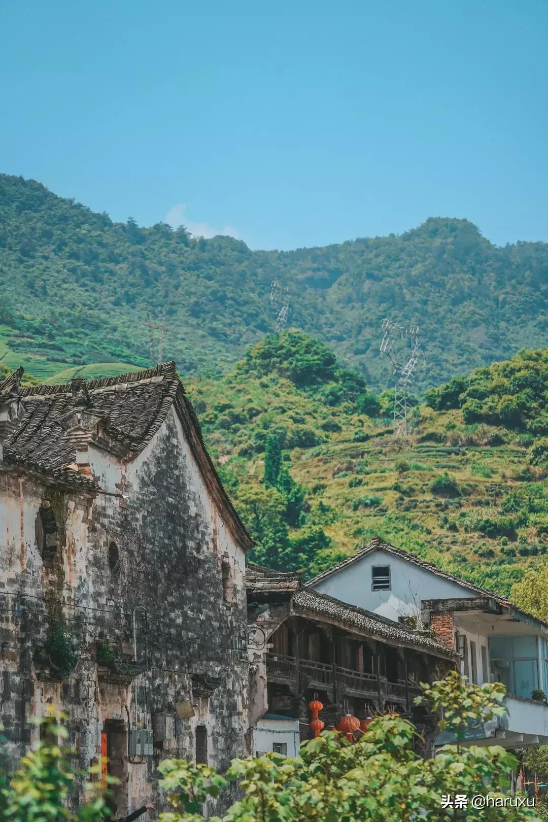 世外桃源與劉伯溫的傳奇故事，探索神秘一肖之旅，劉伯溫與世外桃源的神秘一肖之旅探索