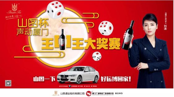 揭秘王中王背后的故事，從肖中的視角看其在SEO領(lǐng)域的輝煌成就，肖中視角下的王中王，SEO領(lǐng)域的輝煌成就揭秘