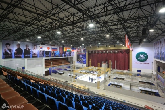 王中王一肖一馬期期中中，深度解讀與SEO策略，王中王一肖一馬期期中深度解讀與SEO策略探討