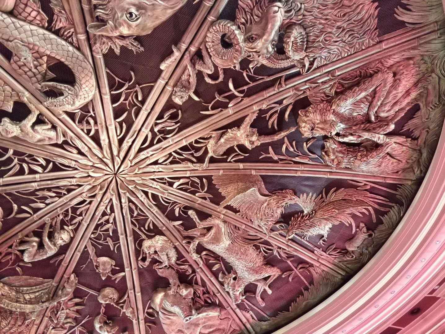 全面解析與攻略指南