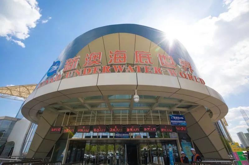 新澳最新動(dòng)態(tài)