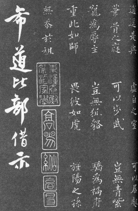 一肖二碼中特的意思解析，一肖二碼中特的意思深度解析