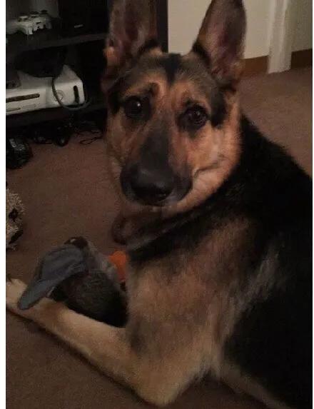 全面解析管家婆，從軟件功能到SEO優(yōu)化策略，全面解析管家婆，軟件功能至SEO優(yōu)化策略指南