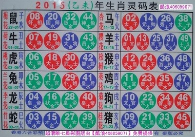 2025十二生肖49碼表