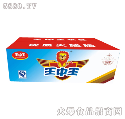 王中王一肖特圖，揭秘背后的故事與魅力，揭秘王中王一肖特圖的背后故事與魅力