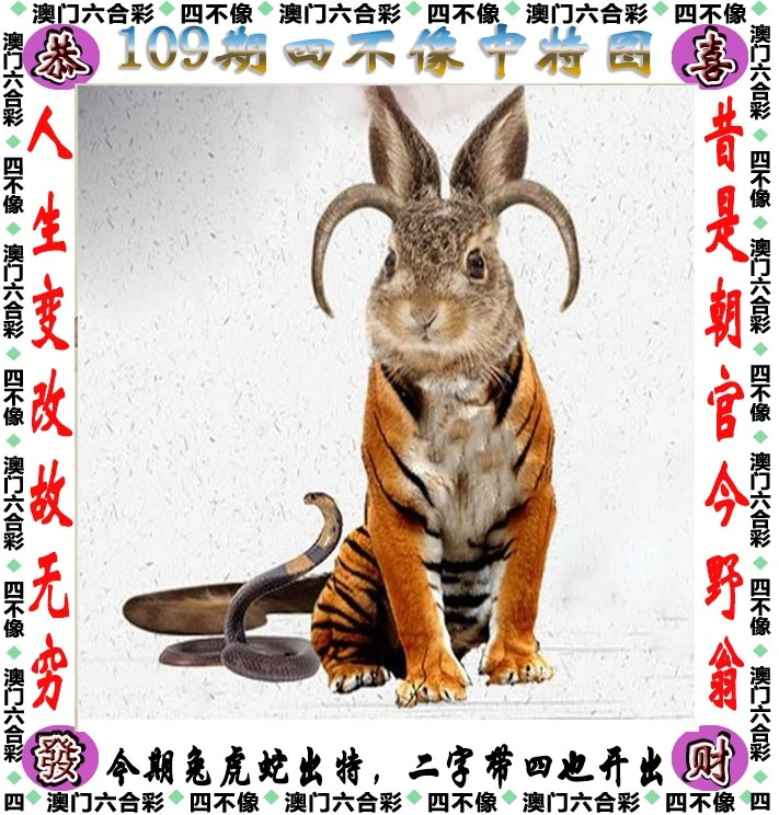 四不像王中王資料一肖，深度解析與探索，四不像王中王資料一肖，深度解析與探索揭秘