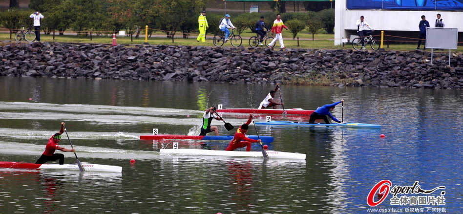 王中王王中王一肖一馬，探尋背后的故事與奧秘，探尋王中王王中王一肖一馬背后的故事與奧秘