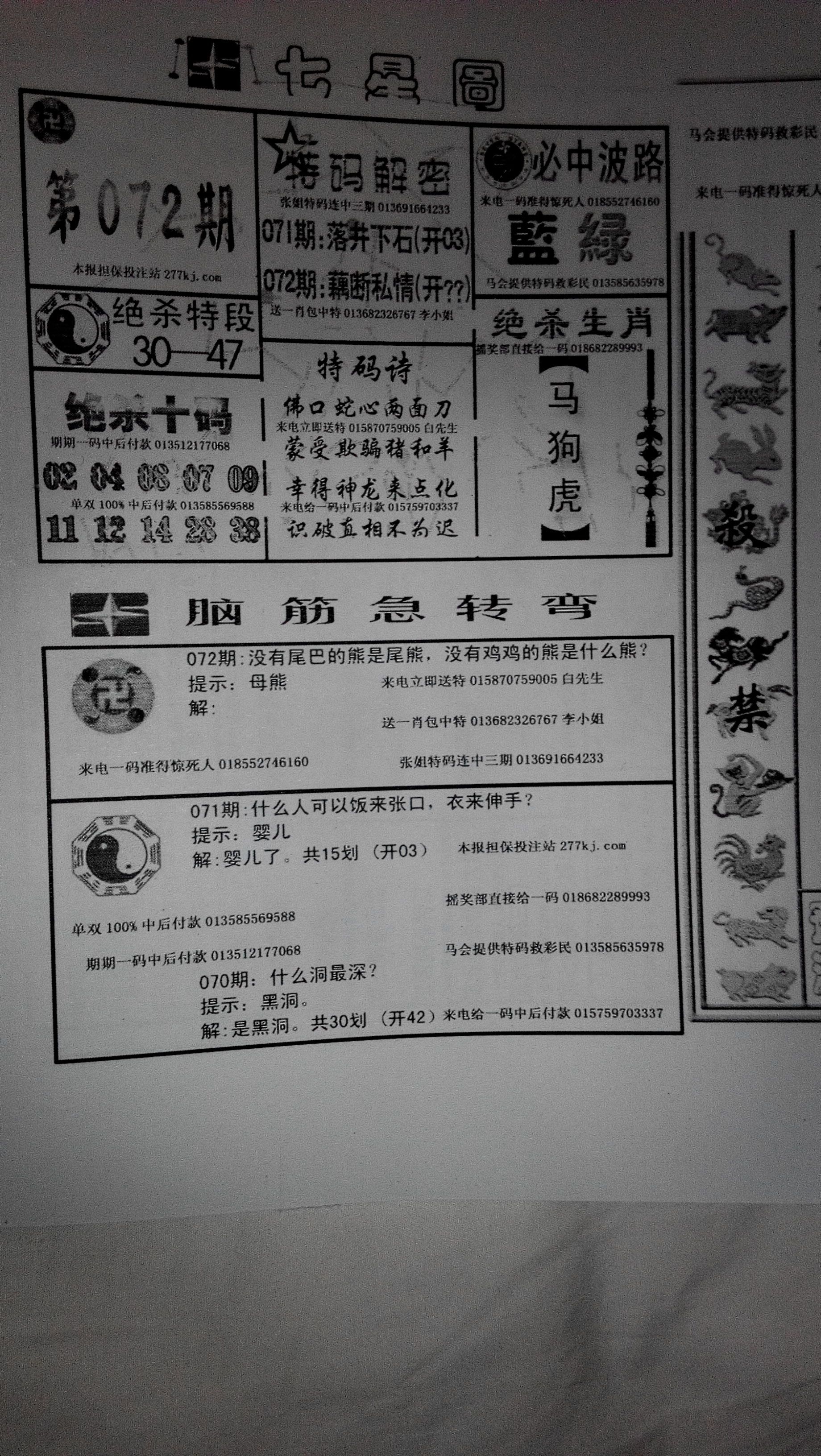 王中王251期指一生肖，深度解讀與SEO優(yōu)化策略，王中王251期生肖解讀與SEO優(yōu)化策略深度探討