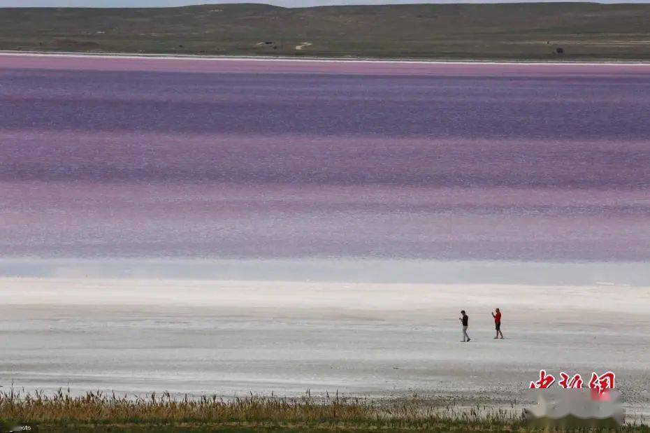 王中王四字解平特一肖——探尋背后的奧秘與意義，王中王四字解平特一肖，背后的奧秘與探尋意義