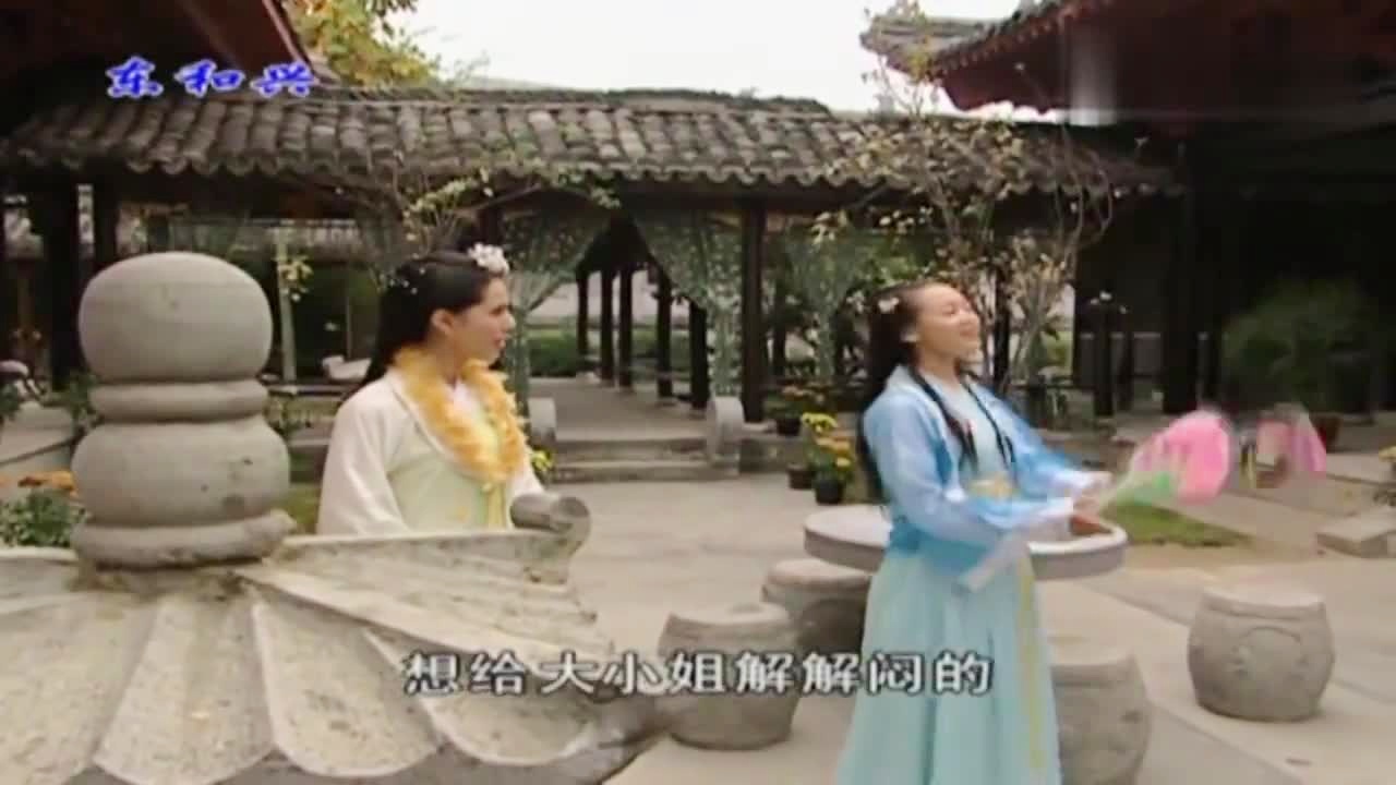 劉伯溫白小姐一肖期期準(zhǔn)，神秘預(yù)測背后的真相，劉伯溫白小姐生肖預(yù)測揭秘，神秘預(yù)測背后的真相