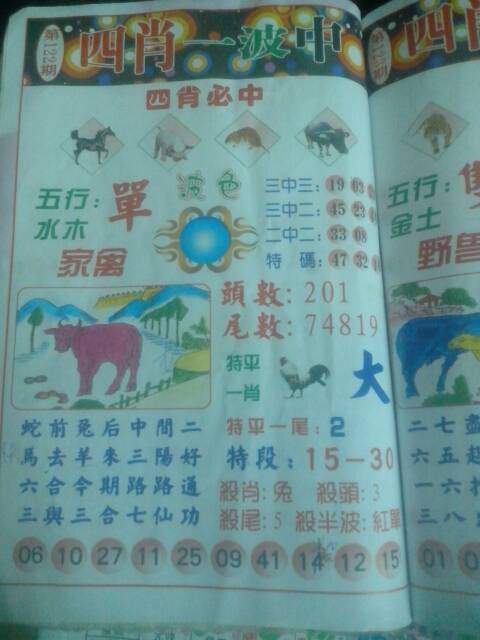 王中王122期指一生肖——深度解析與預測，王中王122期生肖深度解析與預測報告