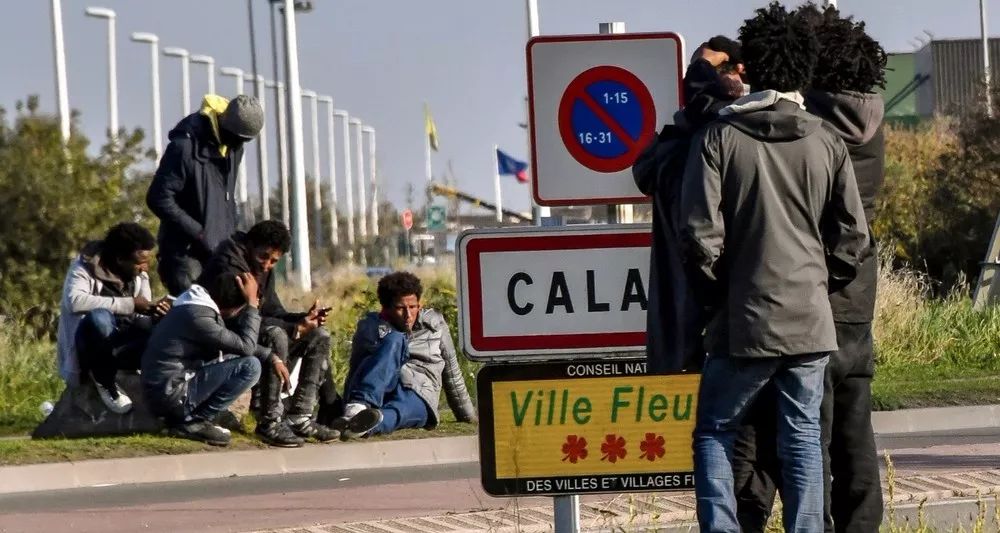 王中王一句解一肖，揭秘神秘關聯(lián)與生肖奧秘，揭秘生肖奧秘，王中王與生肖的神秘關聯(lián)解析