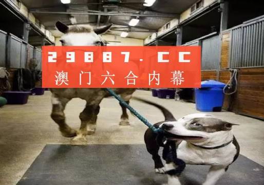 澳門一肖一碼一必中一肖，同舟前進(jìn)的奧秘與策略，澳門一肖一碼必中策略與前進(jìn)奧秘，同舟共濟(jì)的揭秘與策略