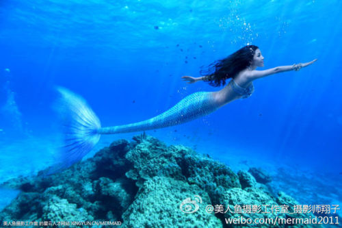 澳門美人魚最快開獎結(jié)果圖——揭秘?zé)衢T彩票游戲背后的秘密，澳門美人魚彩票開獎揭秘，最新結(jié)果圖與游戲背后秘密探索