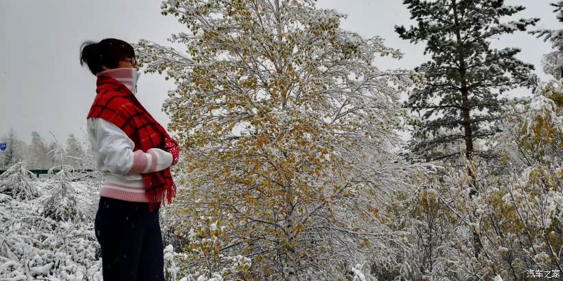 香港劉伯溫必中一肖，揭秘預(yù)測背后的秘密與真相，揭秘劉伯溫必中一肖預(yù)測背后的真相與秘密