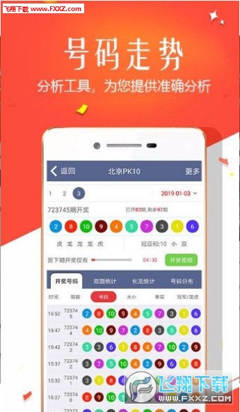 王中王四肖選一，揭秘選擇與優(yōu)化策略，王中王四肖選一，選擇與優(yōu)化策略的揭秘