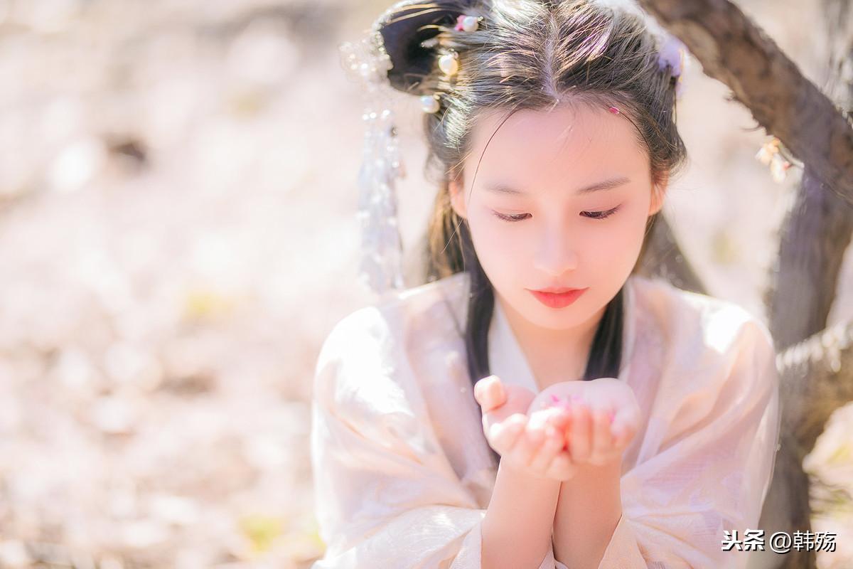 劉伯溫四不像圖特一肖，神秘預言與傳奇故事，劉伯溫四不像圖特一肖，神秘預言與傳奇探秘