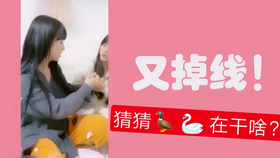 王中王欲錢詩猜一肖，王中王欲錢詩暗示的生肖之謎