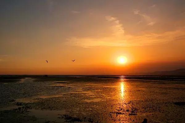 香港四不像劉伯溫必中一肖wwww