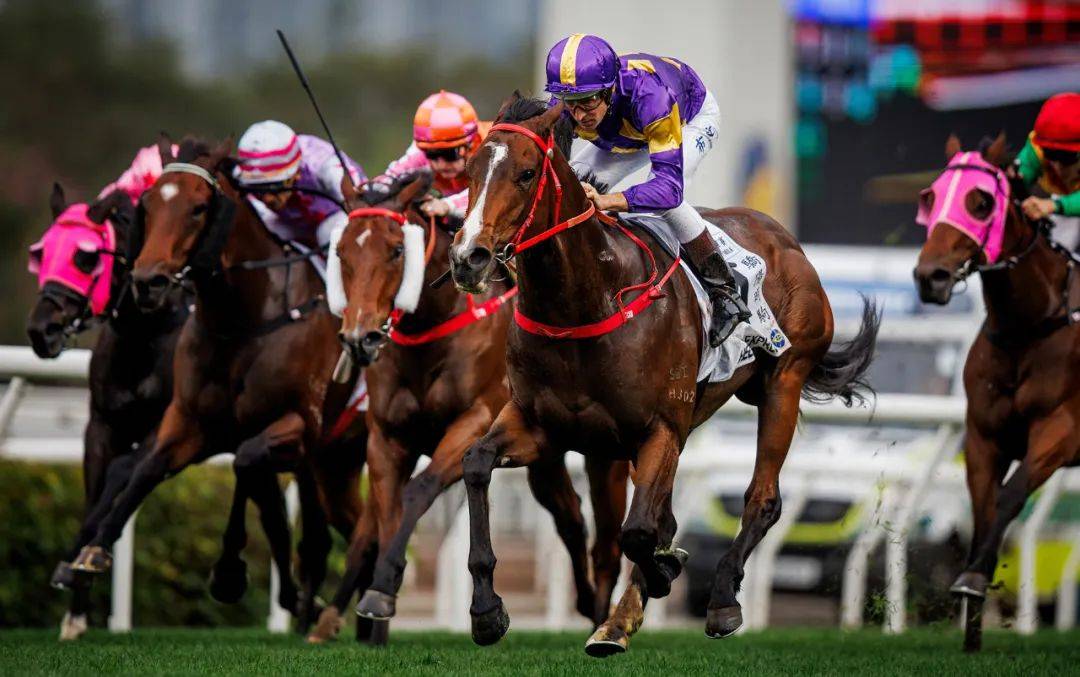 香港賽馬，探索賽馬運(yùn)動(dòng)的激情與榮耀之地——7777788888的獨(dú)特魅力，香港賽馬，激情與榮耀的獨(dú)特魅力探索——777778賽馬運(yùn)動(dòng)之地