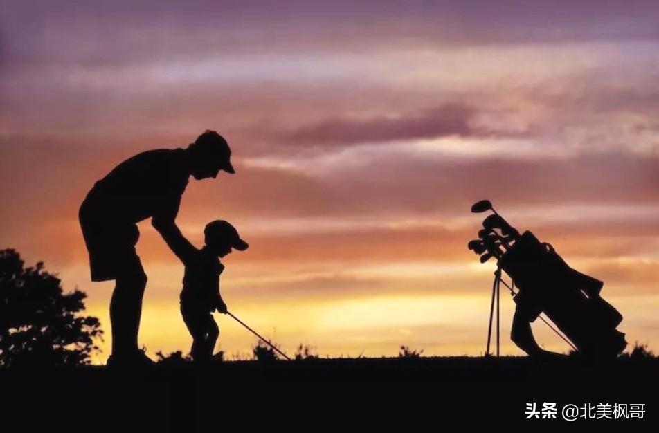 森林高手王中王與神秘生肖——深度解讀背后的故事與秘密，森林高手王中王與神秘生肖，故事背后的深度解讀與秘密探尋