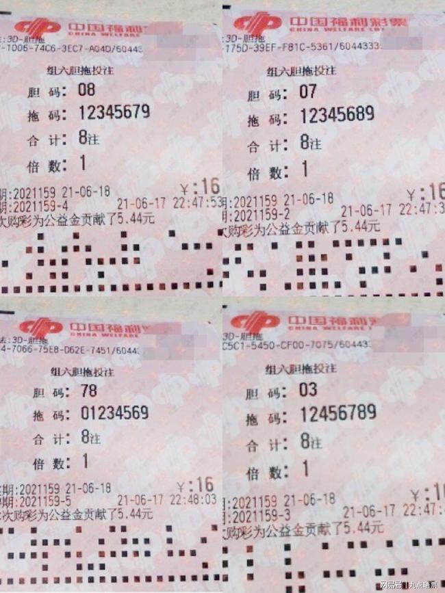 王中王四肖精選